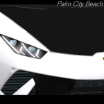 Palm-era City