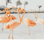 sᴏᴘʜɪᴇ's ᴄʟᴏsᴇᴛ