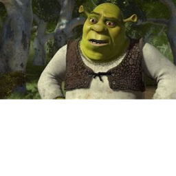 explore shrek!