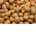 The and Potato Texas Family