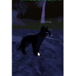 NPC Hunters of Warrior Cats Ultimate Edition