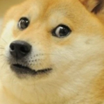 Doge Unlnted