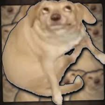 SrDino ;-;