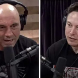 joe rogan podcast experience