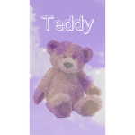 Teddy’s Fan Club