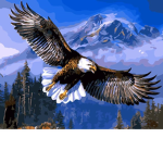 Eagles (Team)