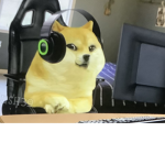 Doge of light