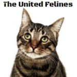 The United Felines