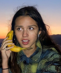 - olivia rodrigo fan members -