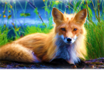 Foxity Community
