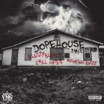 D0pehouse records