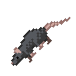 r8.sh