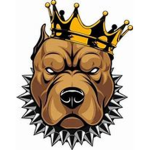 the pitbull592 fan club