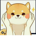 Doge =_=