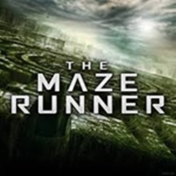 The Maze Runner! [NEW]