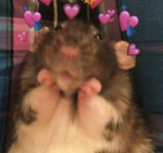 The Valentine Corporation