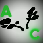 Arbol Community