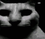 Uncanny Cat Gang