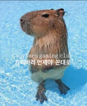capybara club gaming