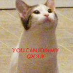 pop cat GARSON04_fan group($-$)