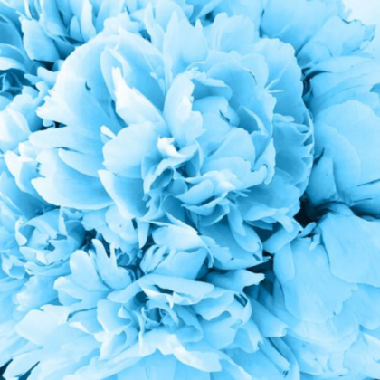 blue aesthetic Roblox decal