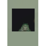 Fʀᴏɢɢʏ ɢʀᴏᴜp
