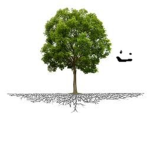The Nature Family