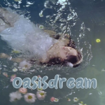 oasisdream