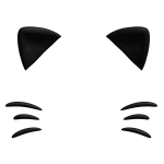 cute black kitty ears filter