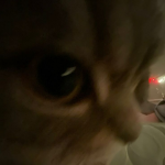 Pets ni Aizo