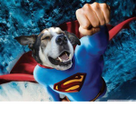 Dog Heros