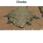 Fat Croc