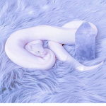 Snakes Are Cool <3