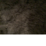 Spiego in chat