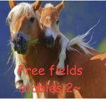 Free fields stables