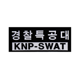 Republic of korea SWAT