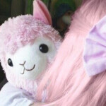 ૮꒰˵• ﻌ •˵꒱ა