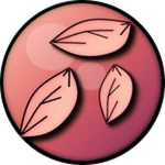 First Reset