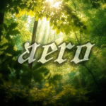 Aero's Assets