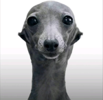 Rоblоxᅠᅠᅠᅠᅠᅠᅠᅠᅠᅠᅠ