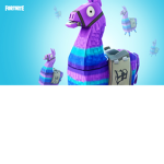 The Fortnite Fans