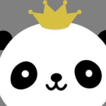 King panda studio