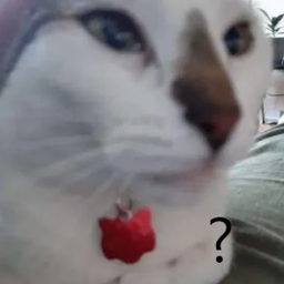 40%