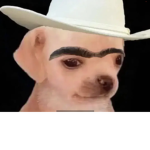 RAFAELNCCC