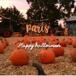 PARIS group <3