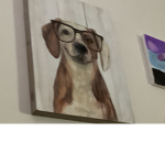 Cool Ben Ben