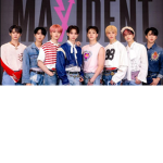 Fan de Stray Kids