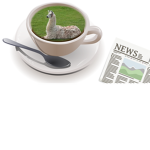 The Llama Cafe