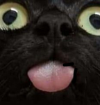 YK0