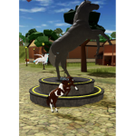 Horse girls yea